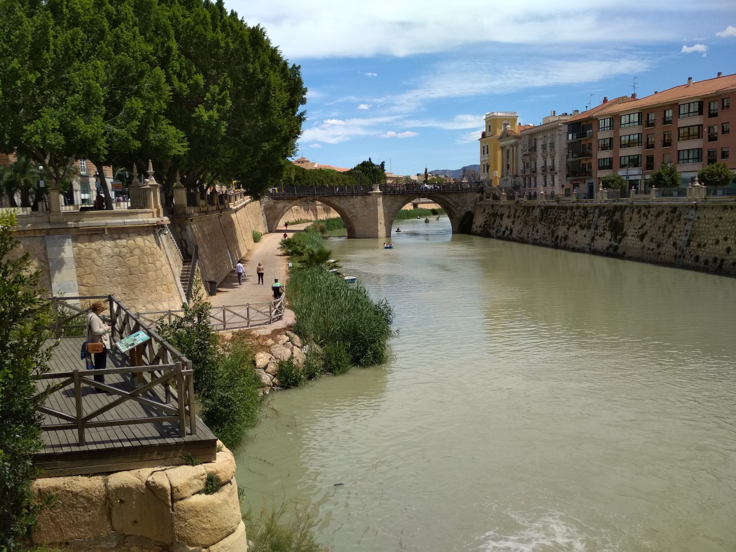 Río Segura en su paso por Murcia